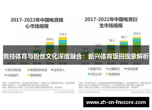 竞技体育与粉丝文化深度融合：新兴体育饭圈现象解析